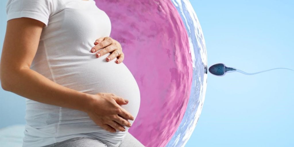 IVF Treatment Options Explained